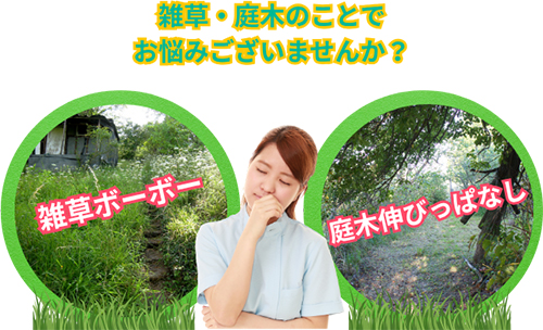雑草・庭木のことでお悩みございませんか?