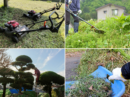 雑草・庭木イメージ