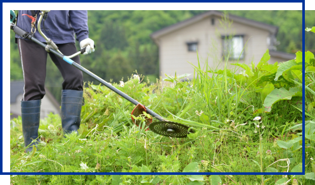 庭木の剪定ならお任せください