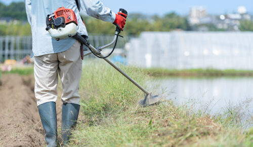剪定・除草・伐採
